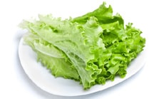 Использование листьев зеленого салата в косметических целях